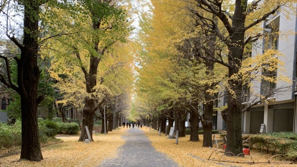 前期教養課程について